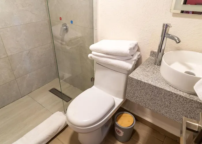 Atrio Polanco Inn